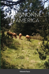 Bisnonne d'America