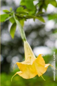 Angel's Trumpet Planner