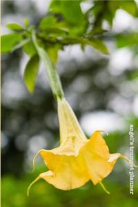 Angel's Trumpet Planner: Transformation and Rebirth