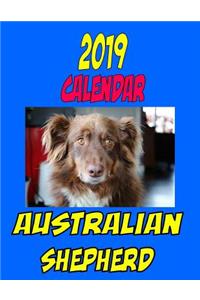 2019 Calendar Australian Shepherd