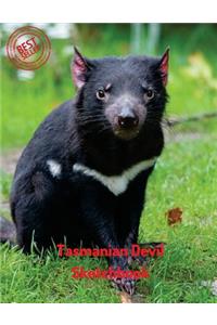 Tasmanian Devil Sketchbook