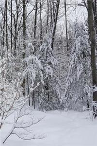 2019 Weekly Planner Winter Snowy Woods Photo 134 Pages