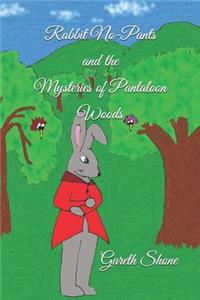 Rabbit No-Pants and the Mysteries of Pantaloon Woods