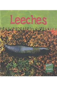 Read and Learn: Ooey-Gooey Animals - Leeches