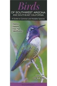 Birds of Southwest Arizona and Southeast California: A Guide to Common & Notable Species