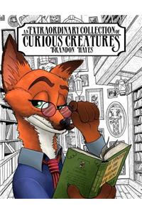 Extraordinary Collection of Curious Creatures