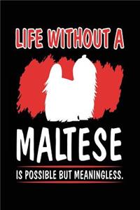 Life Without A Maltese Is Possible But Meaningless.