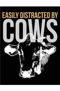 Easily Distracted by Cows
