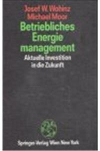 Betriebliches Energiemanagement