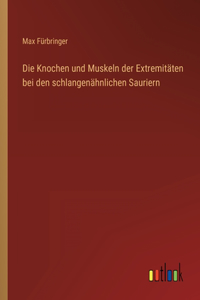 Knochen und Muskeln der Extremitäten bei den schlangenähnlichen Sauriern