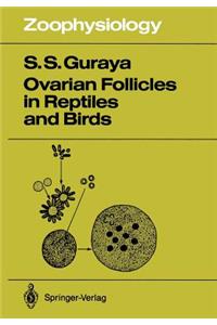 Ovarian Follicles in Reptiles and Birds