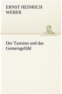 Tastsinn Und Das Gemeingefuhl