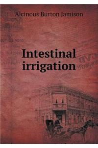 Intestinal Irrigation
