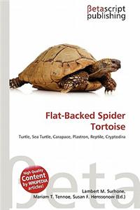 Flat-Backed Spider Tortoise