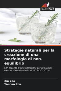 Strategie naturali per la creazione di una morfologia di non-equilibrio