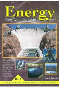 Energy Now And In The Future Biomass Power