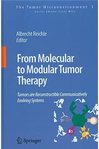 From Molecular to Modular Tumor Therapy