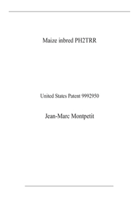 Maize inbred PH2TRR