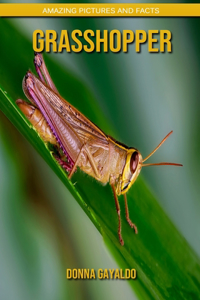 Grasshopper