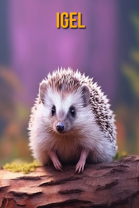 Igel