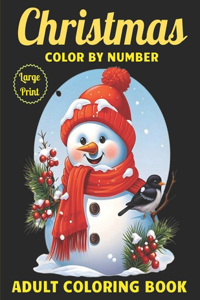Large Print Christmas Color By Number Adult Coloring Book
