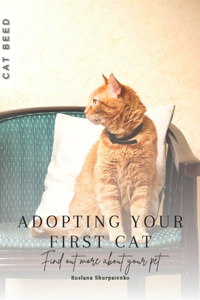 Adopting Your First Cat