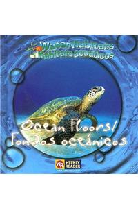 Ocean Floors / Fondos Oceánicos