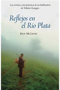 Reflejos en el Río Plata