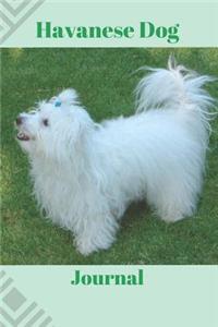 Havanese Dog Journal