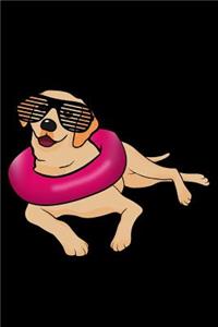 Labrador