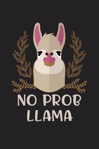 No Probllama