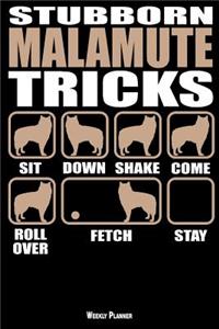 Stubborn Malamute Tricks Weekly Planner