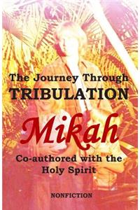 The Journey Through Tribulation