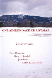 One Adirondack Christmas...