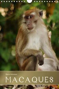 Macaques 2016