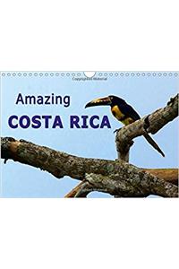 Amazing Costa Rica 2017
