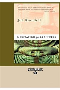 Meditation for Beginners (Easyread Large Edition)