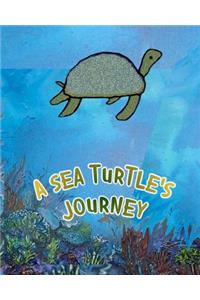 Sea Turtle's Journey