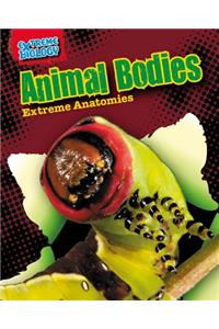 Animal Bodies