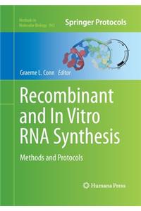 Recombinant and in Vitro RNA Synthesis
