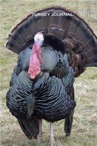 Turkey Journal: 100 Page Lined Notebook/Diary