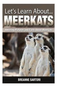 Meerkats: Amazing Pictures and Facts about Meerkats