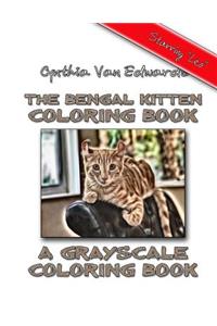 The Bengal Kitten Coloring Book