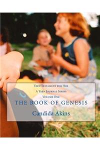 Teen Testament for Him
