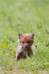 So Cute Baby Fox Kit in the Wild Journal