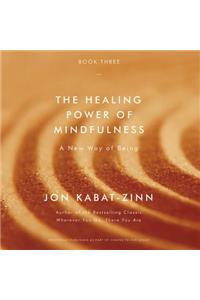 The Healing Power of Mindfulness