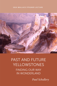 Past and Future Yellowstones