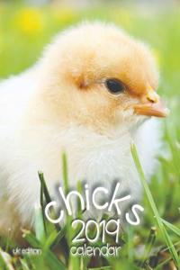 Chicks 2019 Calendar (UK Edition)