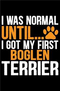 I Was Normal Until I Got My First Boglen Terrier