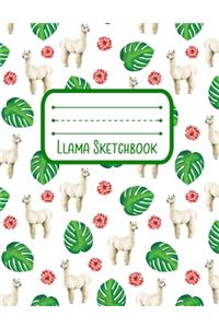 Llama Sketchbook